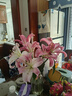 AB級優(yōu)質(zhì)香水百合鮮花水培插花家庭生活水養鮮切玫瑰云南產(chǎn)地直發(fā) 高品質(zhì)【AB級隨機色大花苞】百合花6朵+保鮮劑 曬單實(shí)拍圖