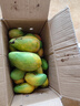 京喜加海南臺芒新鮮芒果生鮮水果時(shí)令鮮果 凈重5斤60+ 曬單實(shí)拍圖