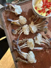 切蟹梭子蟹蟹塊蟹股新鮮鮮活冷凍切割蟹螃蟹海蟹海鮮水產(chǎn)批發(fā) (2斤【蟹塊】) 曬單實(shí)拍圖