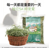 潔西 提摩西草 精選北提兔兔牧草干草成兔糧豚鼠龍貓提草飼料500g 曬單實(shí)拍圖