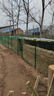 荷蘭網(wǎng)鐵絲網(wǎng)圍欄批發(fā)鐵網(wǎng)養殖網(wǎng)養雞網(wǎng)柵欄護欄網(wǎng)子防護網(wǎng)鋼絲網(wǎng) 1.5米高15米3厘米孔2.0毫米_草綠色軟塑層 曬單實(shí)拍圖