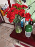 康乃馨鮮花云南基地直發(fā)水養38婦女女神節花束禮物鮮花 單頭康乃馨紅色20枝 曬單實(shí)拍圖
