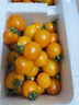 廣西黃金玲瓏圣女果迷戀櫻桃番茄西紅柿新鮮黃色水果現摘柿子 5斤（凈重4.5斤） 曬單實(shí)拍圖