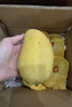 京地達海南現摘新鮮金煌芒果凈重5斤約2-5個(gè)果甜心芒水果源頭直發(fā)包郵 曬單實(shí)拍圖