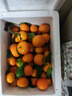 正宗廣西砂糖橘桔子現摘新鮮當季薄皮橘子水果純甜沙糖桔 砂糖橘帶箱5斤 曬單實(shí)拍圖