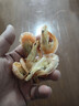 九節蝦干整只對蝦干即食蝦干大號烤蝦干斑節蝦干水產(chǎn)零食海鮮干貨 炭烤九節蝦干約400只 500g(凈重) 曬單實(shí)拍圖
