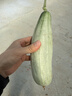 京覓 山東頭茬羊角蜜甜瓜 3斤凈重 單果300g起蜜瓜新鮮水果源頭直發(fā) 曬單實(shí)拍圖
