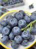晟容果蔬云南花香藍莓【空運-多地次日達】孕婦當季鮮果應季新鮮水果送禮 【爆款80%選】金獎·特級果 | 單果16-20mm 4盒裝【爆款推薦-80%人買(mǎi)】100g/盒* 曬單實(shí)拍圖