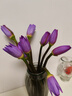 新鮮睡蓮鮮花廣州直發(fā)30CM帶花苞家庭38女神婦女節禮物生日禮物 紫色睡蓮10枝 曬單實(shí)拍圖