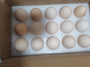 富硒鮮雞蛋30枚單枚50g左右產(chǎn)地直發(fā) 富硒鮮蛋30枚 曬單實(shí)拍圖