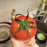 【老品種】山東沙瓤番茄西紅柿新鮮現摘自然熟大紅番茄爆汁生鮮 帶箱2斤小果 1.8斤 曬單實(shí)拍圖