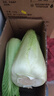 【冬儲菜】新鮮龍牙白菜大白菜無(wú)筋無(wú)絲開(kāi)鍋爛火鍋必備 5斤含箱 曬單實(shí)拍圖