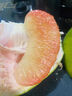 櫻鮮泰國青柚【京東直送】進(jìn)口翡翠金柚當季青皮蜜柚子時(shí)令孕婦水果 實(shí)惠嘗鮮果（1-1.5斤/粒） 1粒裝（進(jìn)口優(yōu)果） 曬單實(shí)拍圖