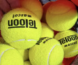 天龍（Teloon）網(wǎng)球訓練球進(jìn)階初學(xué)專(zhuān)業(yè)比賽網(wǎng)球耐磨 801初學(xué)一袋(60個(gè)) 送精美桶包 曬單實(shí)拍圖