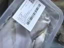 冰鮮白鯧魚(yú)400g（4條裝） 曬單實(shí)拍圖