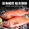 深海紅石斑魚(yú)特大海捕鮮活冷凍整條富貴魚(yú)紅魚(yú)大眼魚(yú)魚(yú)類(lèi)海鮮水產(chǎn) 特大2斤/條*4條 曬單實(shí)拍圖