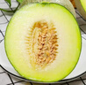 京鮮生海南蜜蜂授粉網(wǎng)紋瓜 單果2斤起 凈重9-10斤 4粒年貨禮盒 源頭直發(fā) 曬單實(shí)拍圖
