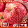 京地達蘋(píng)果山東煙臺蘋(píng)果水果 凈重8.5斤單果85mm棲霞紅富士源頭直發(fā)包郵 曬單實(shí)拍圖