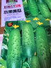 播種心情家庭種植蔬菜種子大全四季播種陽(yáng)臺盆栽農家庭院小菜園有機香菜菠 水果黃瓜種子2包 曬單實(shí)拍圖