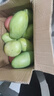 玖原農珍 海南大青皮金煌甜心芒當季優(yōu)選芒果 生鮮水果新鮮現摘芒果 含箱5斤凈果4.5斤優(yōu)選果 曬單實(shí)拍圖