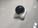 千鳥(niǎo)物聯(lián)可移動(dòng)無(wú)線(xiàn)高清攝像頭手機遠程監控機器人全屋行走智能家用監控器寵物監視器看護貓咪狗狗 可移動(dòng)雙鏡頭-WiFi版(無(wú)內存卡) 曬單實(shí)拍圖