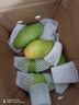 【爆甜】正宗越南金煌芒特大芒果甜心芒水仙芒大青芒應季新鮮水果 特大果 8斤帶箱單果300g起(10-13個(gè)) 曬單實(shí)拍圖
