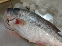冰鮮白鯧魚(yú)400g（4條裝） 曬單實(shí)拍圖