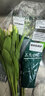 【花苞會(huì )長(cháng)大】郁金香 粉色 10枝 曬單實(shí)拍圖
