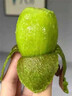 甜萌果蔬徐香獼猴桃【現摘/多地極速達】陜西水果綠心整箱批發(fā)當季翡翠果 15枚【尊享果】強烈推 60-70g左右* 曬單實(shí)拍圖