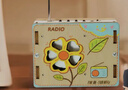 瑞禾實(shí)驗玩具手工diy收音機木質(zhì)科技手工小制作發(fā)明男女孩新年禮物 曬單實(shí)拍圖