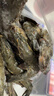 鮮京采 鮮凍大號黑虎蝦 去冰凈重2斤 31-40只/盒 斑節對蝦 曬單實(shí)拍圖