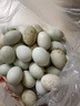 鴨蛋新鮮生鴨蛋50-60g土鴨蛋農家散養綠殼青皮鴨蛋整箱批發(fā) 30枚 曬單實(shí)拍圖