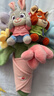 迪士尼（Disney）瘋狂動(dòng)物城朱迪尼克玩偶花束新婚禮物結婚手捧花情人節生日禮物女 曬單實(shí)拍圖