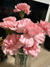 單頭康乃馨10枝粉色 曬單實(shí)拍圖