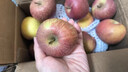 高西溝山地蘋(píng)果正宗云南高原山地蘋(píng)果麻皮蘋(píng)果應季糖心蘋(píng)果新鮮 10斤 80mm【含】-85mm【不含) 曬單實(shí)拍圖