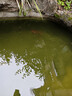 歐亞瑟室外魚(yú)池水循環(huán)系統魚(yú)池過(guò)濾器錦鯉魚(yú)池過(guò)濾桶箱錦鯉池塘凈化裝置 18000直流式套裝/9立方米內魚(yú)池 曬單實(shí)拍圖