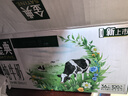 伊利金典純牛奶整箱 200ml*24盒 3.6g乳蛋白 原生高鈣 禮盒裝 曬單實(shí)拍圖