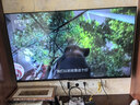 創(chuàng  )維電視A3F 50英寸 144Hz疾速高刷 2+32GB大內存 三重護眼 一級能效 50A3F 曬單實(shí)拍圖