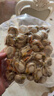我愛(ài)漁 冷凍帶膏(黃)扇貝肉500g 曬單實(shí)拍圖