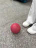 奧匹實(shí)心球1公斤中考專(zhuān)用初中生小學(xué)生體育訓練2kg免充氣標準鉛球訓練 2kg 中考專(zhuān)用 AP-072 曬單實(shí)拍圖