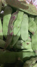 京地達山東 一點(diǎn)紅 油豆角 凈重3.5斤新鮮 油豆角 蔬菜源頭直發(fā)包郵 曬單實(shí)拍圖