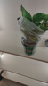 雙盟綠蘿盆栽除甲醛花卉綠植辦公室新房?jì)艋諝?120款10盆源頭直發(fā) 曬單實(shí)拍圖