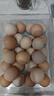 無(wú)抗鮮雞蛋 谷物喂養鮮雞蛋 50±5克/枚 早餐食材 蛋香味十足 30枚裝 曬單實(shí)拍圖