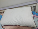 水星家紡枕頭枕芯酒店枕頭護頸枕頭芯家用單個(gè)純棉抗菌可水洗中枕48x74cm 曬單實(shí)拍圖