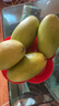 三萌果蔬金煌芒芒果 當季現摘青皮大芒果海南新鮮水果仙芒節日送禮品盒 5斤精選裝凈重4.5斤 單果200g+ 曬單實(shí)拍圖