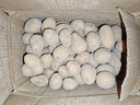 京鮮生恩施小土豆5斤 單果約20-50g 新鮮黃心土豆馬鈴薯源頭直發(fā) 曬單實(shí)拍圖