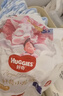 好奇（Huggies）皇家小龍褲拉拉褲L19片(9-14kg)尿不濕【柔吸防漏王】 曬單實(shí)拍圖