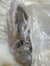 鮮活沖浪河鱸魚(yú)400-500g/條 曬單實(shí)拍圖