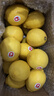 南非檸檬5斤進(jìn)口鑰匙鎖扣一級黃檸檬大果新鮮非美國新奇士智利 凈果5斤 17-25個(gè) 曬單實(shí)拍圖