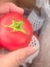 新鮮沙瓤大番茄生吃西紅柿減肥早餐即食新鮮蔬菜生鮮單果＞100g 暢享裝 3斤 凈重 曬單實(shí)拍圖